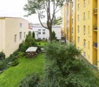 Green courtyard garden view