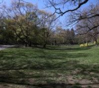 Pronájem bytu Praha