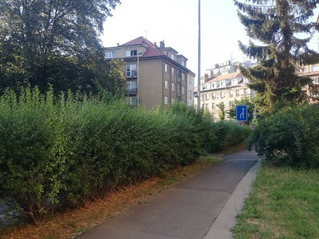 Pronájem bytu Praha