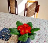 Pronájem bytu Praha