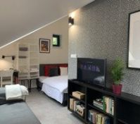 Bright attic studio overview