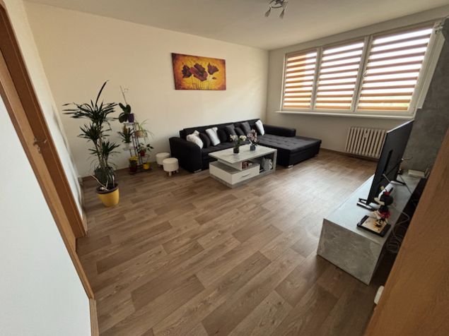 Spolubydlení Ostrava