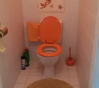 Pronájem bytu Pardubice