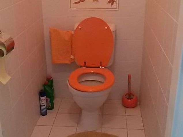 Pronájem bytu Pardubice