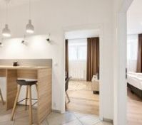 The whole apartment