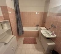 Pink tiled bathroom with bathtub