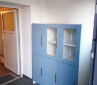 Pronájem bytu Stehelčeves