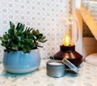 Bedside plant lamp and candle