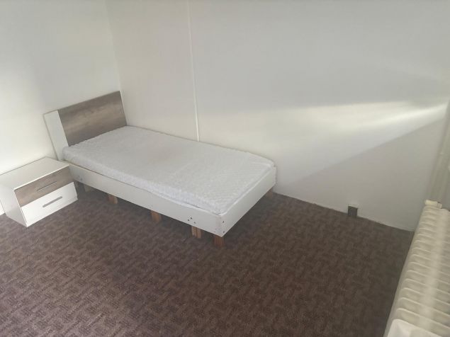 Spolubydlení Plzeň