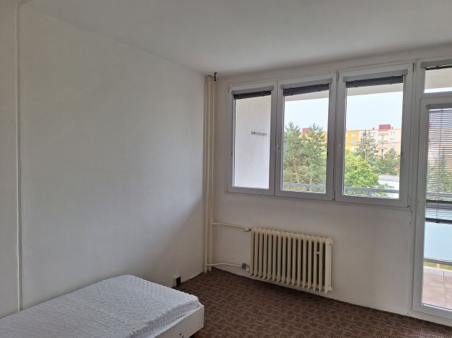 Spolubydlení Plzeň