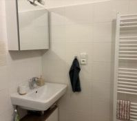Bathroom sink and mirror