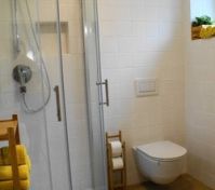 Bathroom shower and toilet
