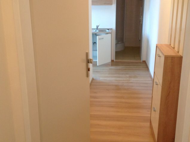 Priestranná vstupná chodbička