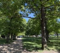 Pronájem bytu Praha