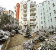 the garden in the first winter. 