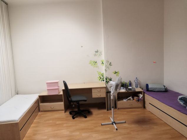 Pohled na celý pokoj