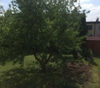 Pronájem bytu Praha