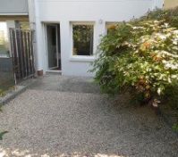 Garden / zahrada