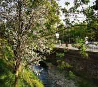 Pronájem bytu Praha