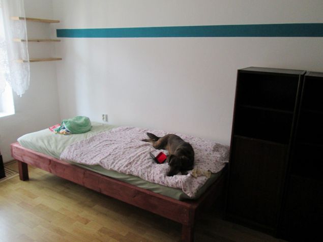 Pronájem bytu Jihlava