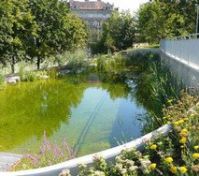 Pronájem bytu Praha