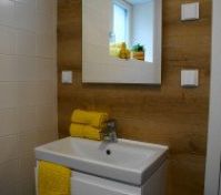 Bathroom sink with wood tiles