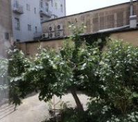 Pronájem bytu Praha