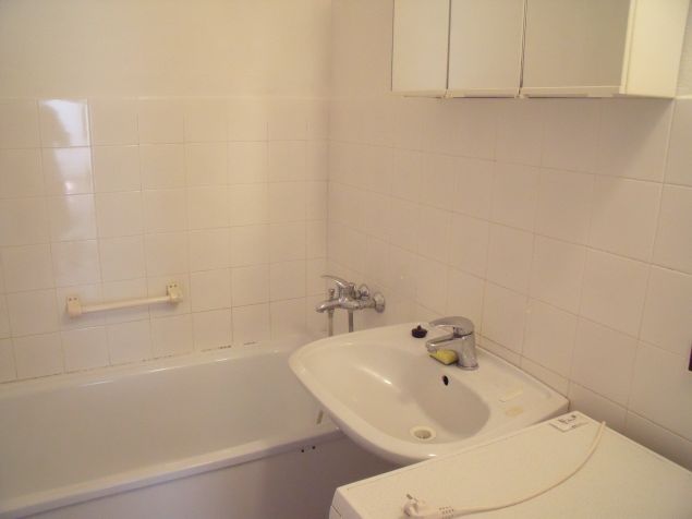 V koupelně pračka se suš., WC samostatně