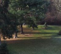 The park in front of the house