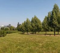 Nearest green park just  3 minutes by walking from us