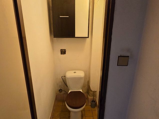 Pronájem domu Tursko