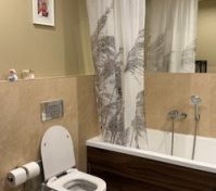Bathroom with bathtub toilet mirror