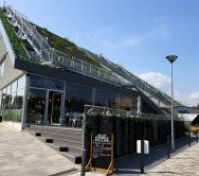 Nearby coffee shop green roof