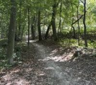 A few steps from the studio, there are many options for an afternoon stroll or a day trip.