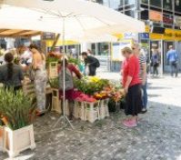 Pronájem bytu Praha