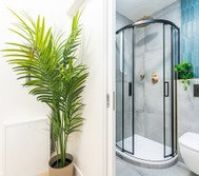 Full bathroom 2 image 2
