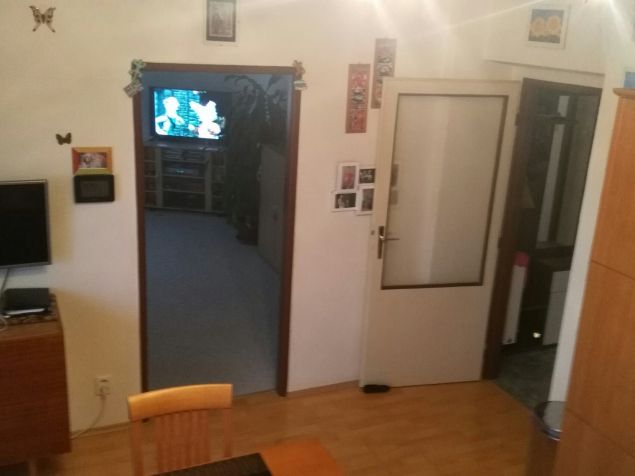 Pronájem bytu Černilov