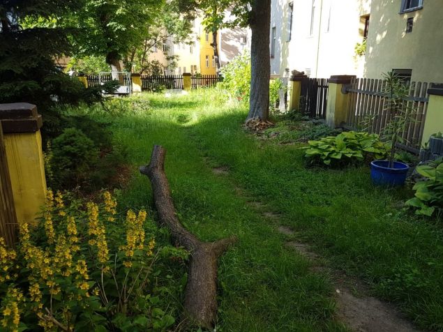 Pronájem bytu Praha