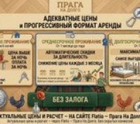 Rental terms infographic Russian