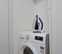 Washing machine with iron