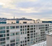 Building's Rooftop
