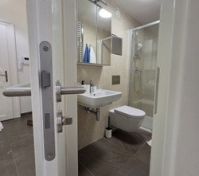 Modern bathroom with shower and toilet