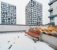 Building's Rooftop