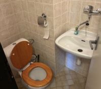 Compact toilet with corner sink