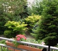 the terrace is facing the residences' inner garden. 