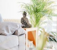 Living room sofa with plants detail