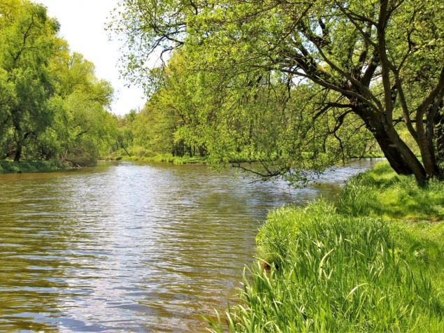 Pronájem bytu Ivančice