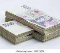 Pronájem domu Staré Hodějovice