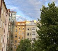 Klidný dvůr se zahradou a stromy