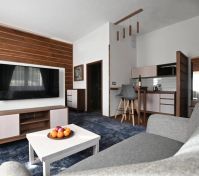 Pronájem bytu Chomutov